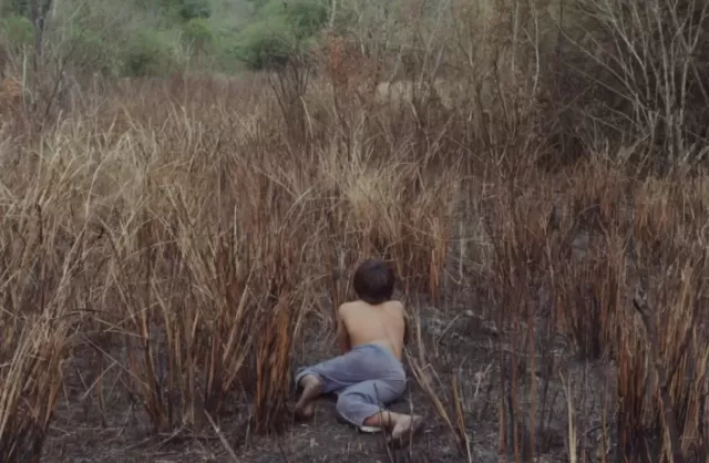 Canuto's Transformation: Myth, Memory, and Indigenous Truths